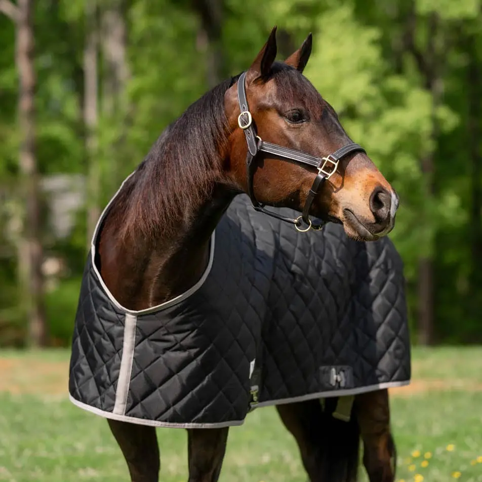Tuffrider Shelter Closed Front Medium Weight Stable Blanket 2