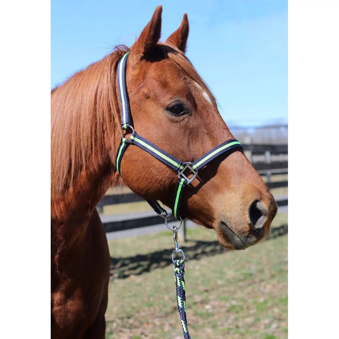 Tuffrider Nylon Breakaway Halter & Lead Rope Set 1