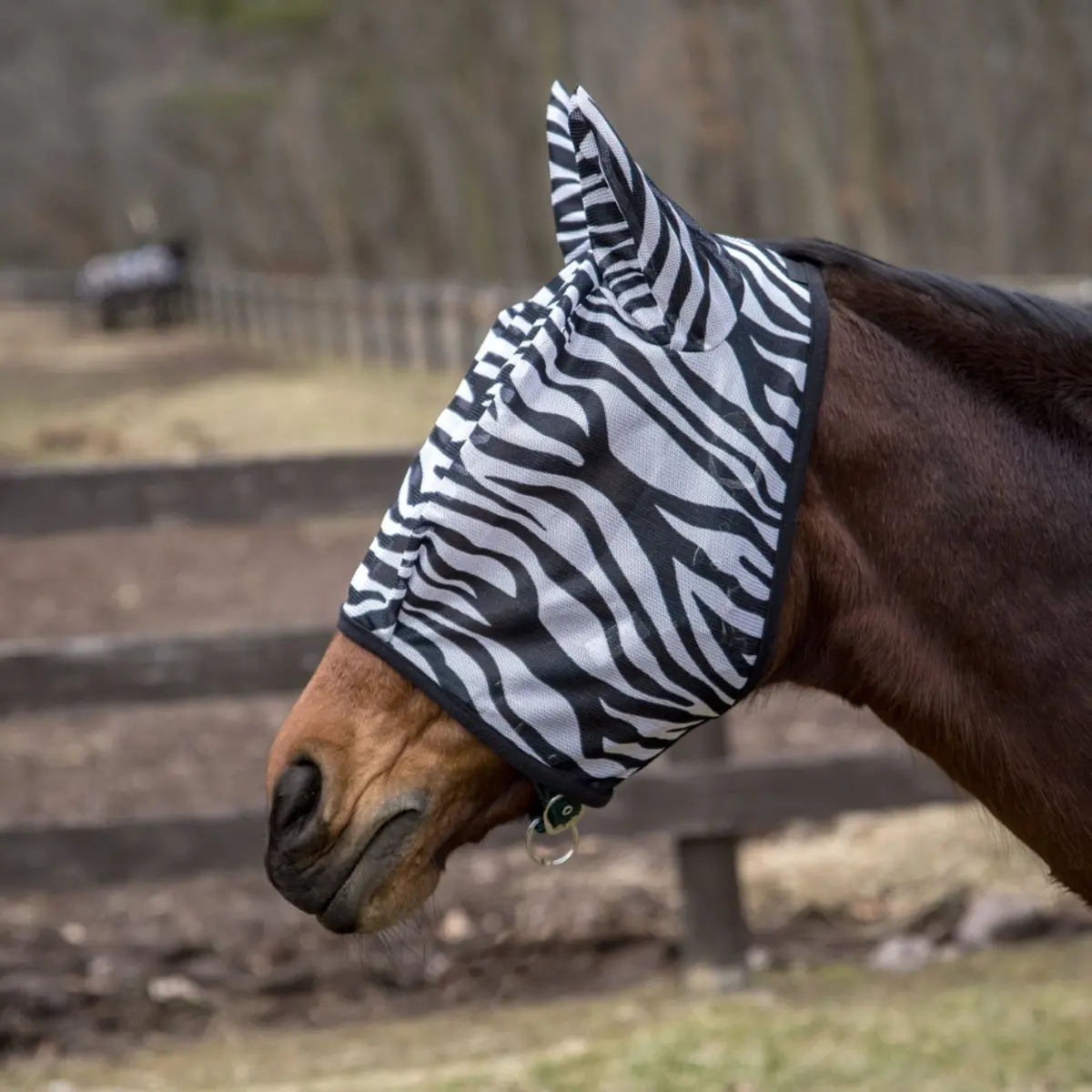 Tuffrider Comfy Plus Zebra Print Fly Mask 1