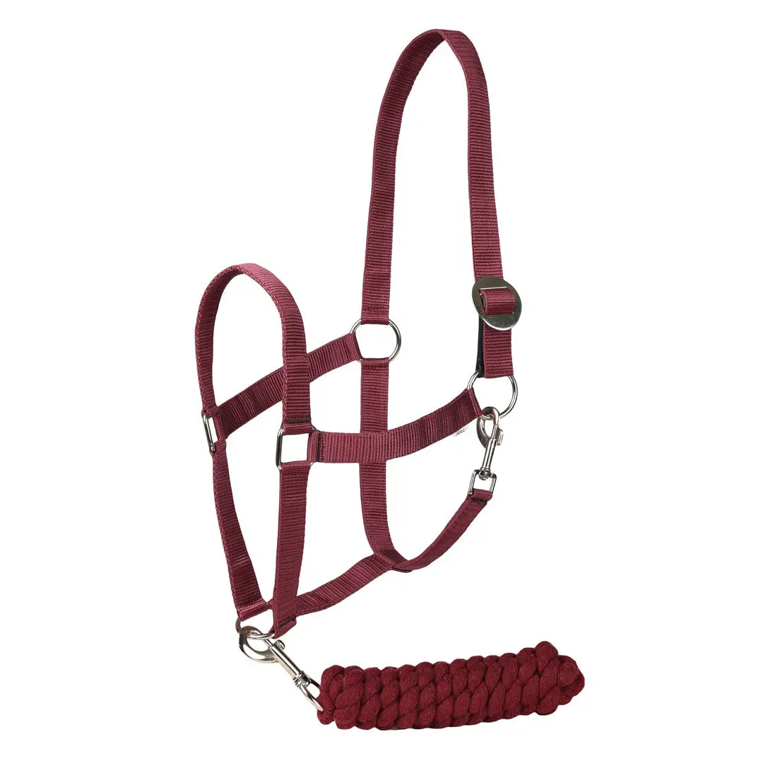 Tuffrider Halter And Lead Rope Set With Breakaway Leather 3