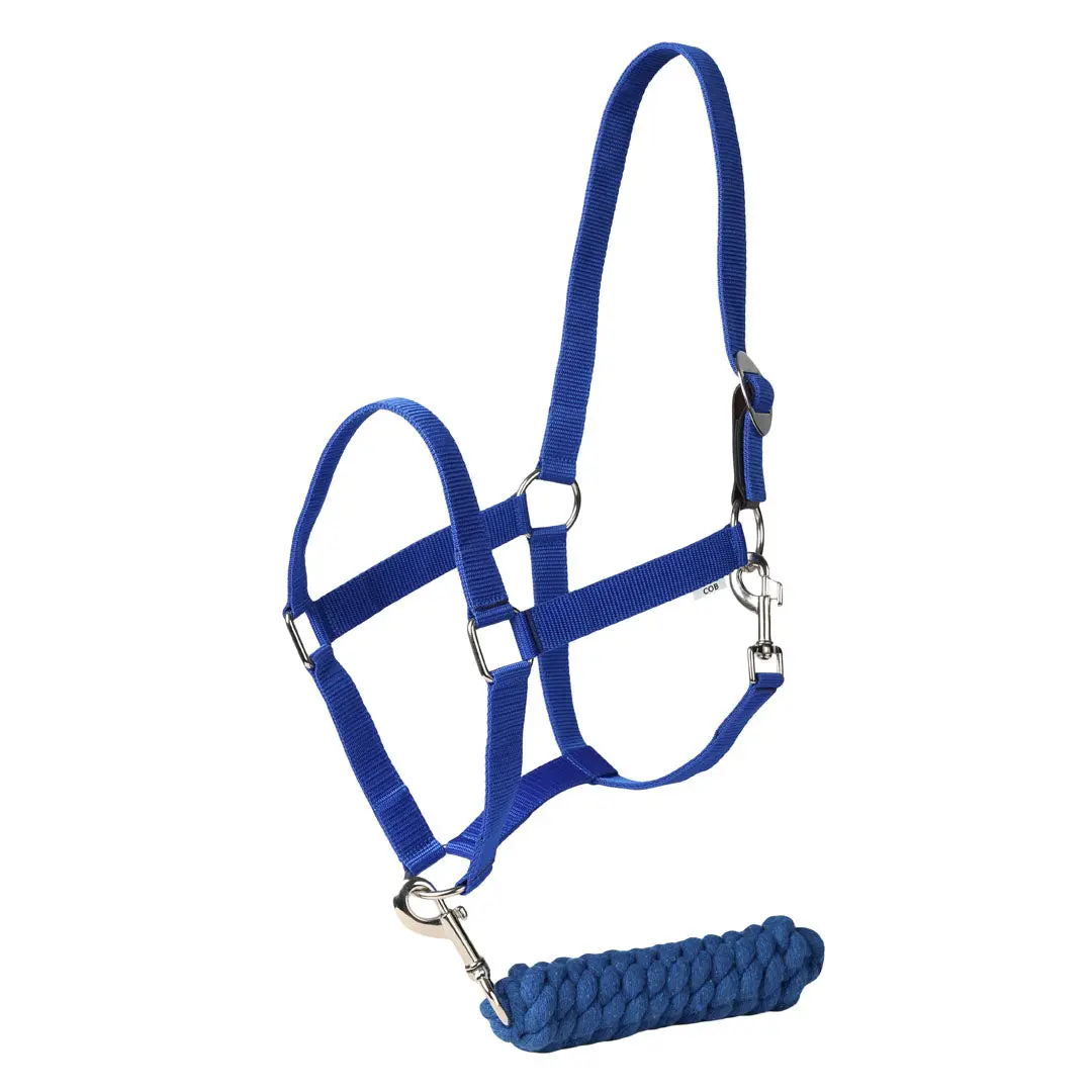 Tuffrider Breakaway Leather Halter and Lead Rope Set - Image 3