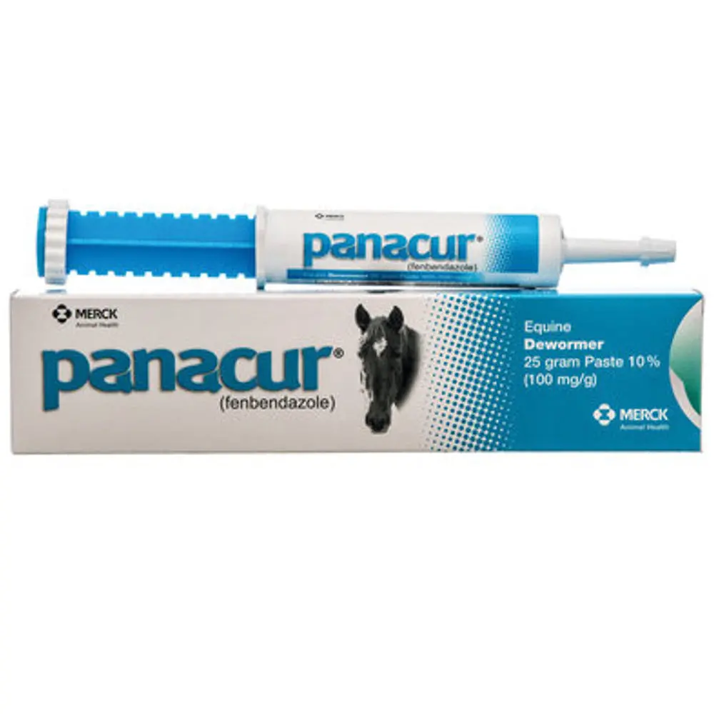 Panacur Equine Paste 10% Horse Wormer 100Mg 1 X 25 Grams Apple Flavor 1