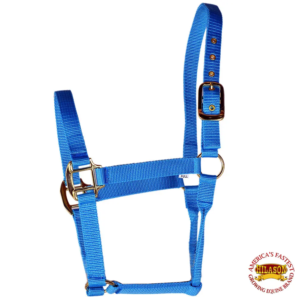 Hilason Premium Nylon Horse Halter Turquoise Rolled Throat Strap 1