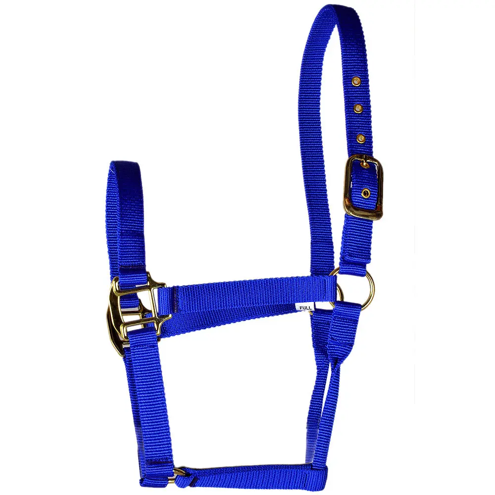 Hilason Premium Nylon Horse Halter Royal Blue Rolled Throat Strap 1