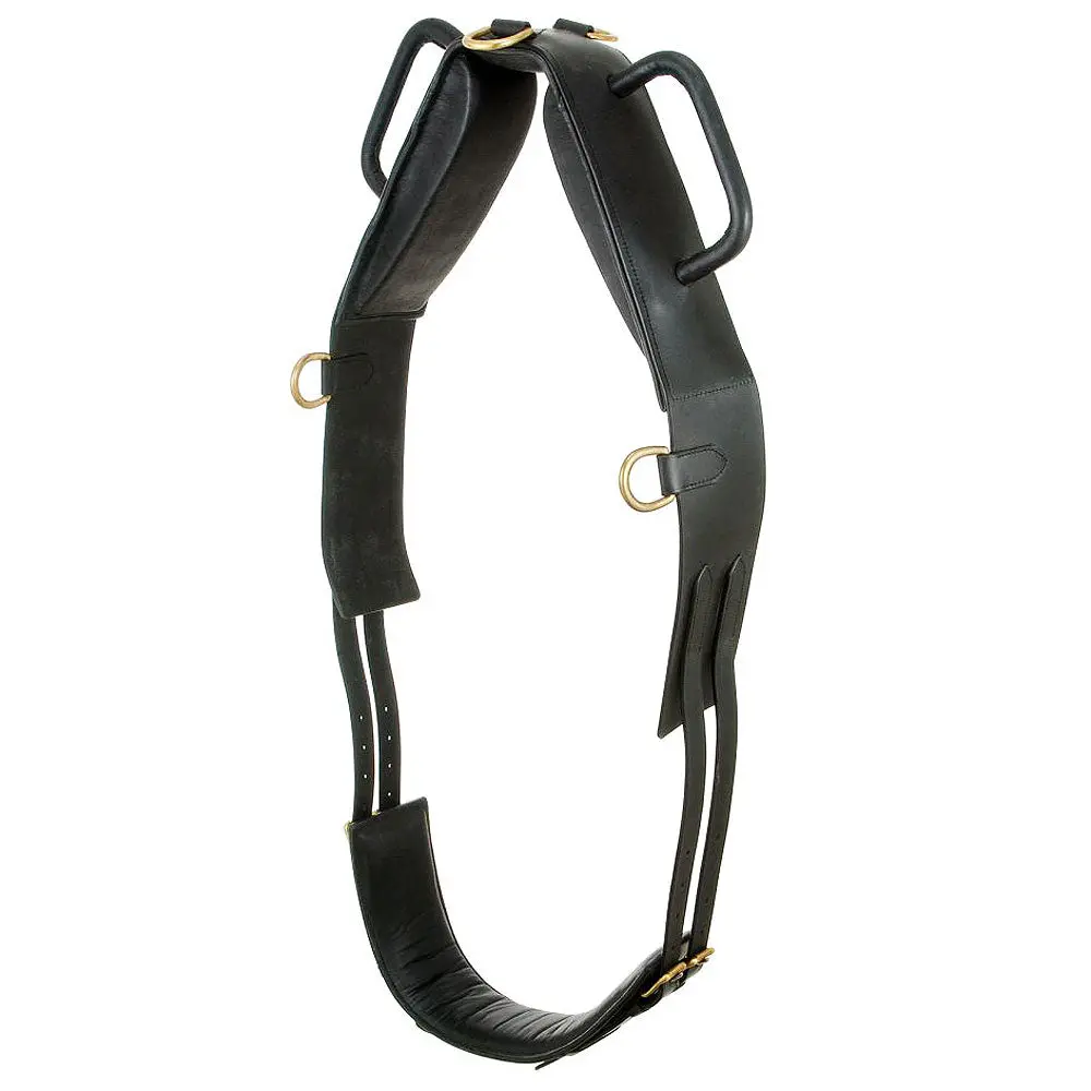 Tough 1 Performers 1St Choice Vaulting Horse Surcingle Black 1