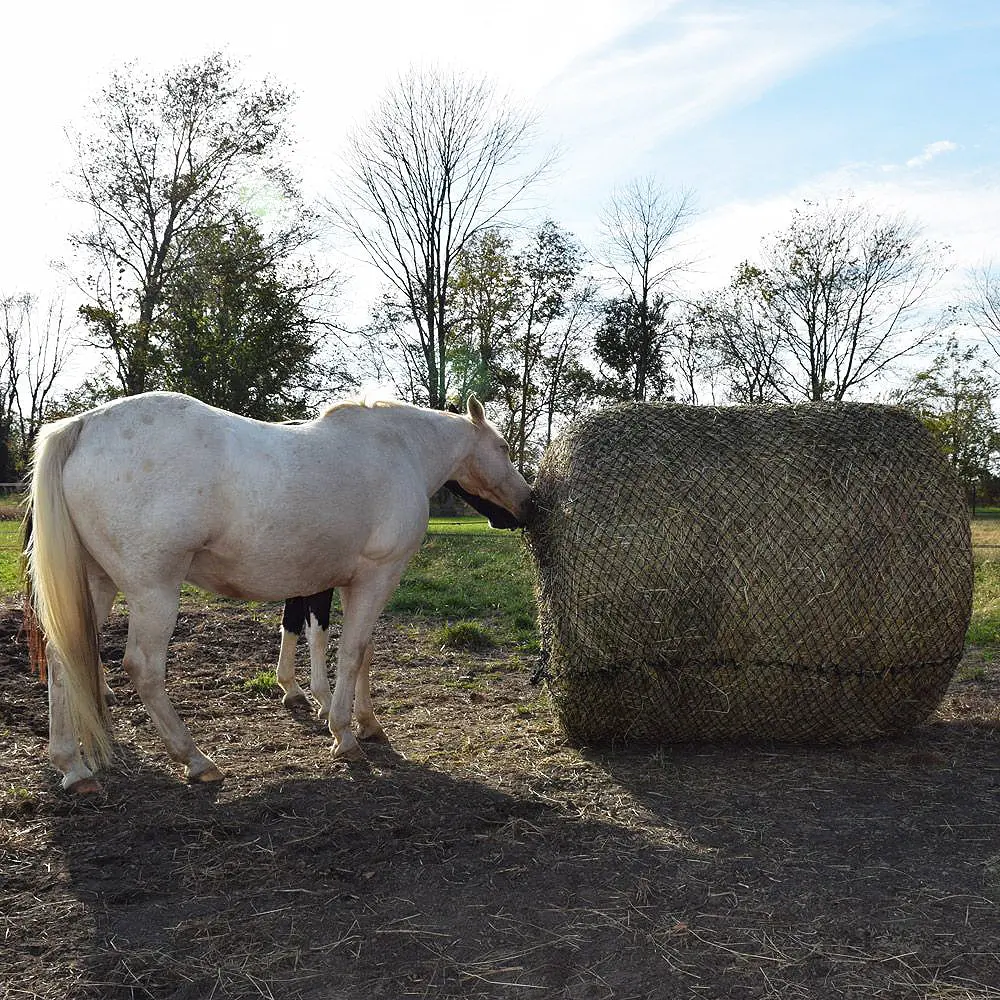 6Ft X Tough 1 Deluxe Round Bale Slow Horse Feed Hay Net 1