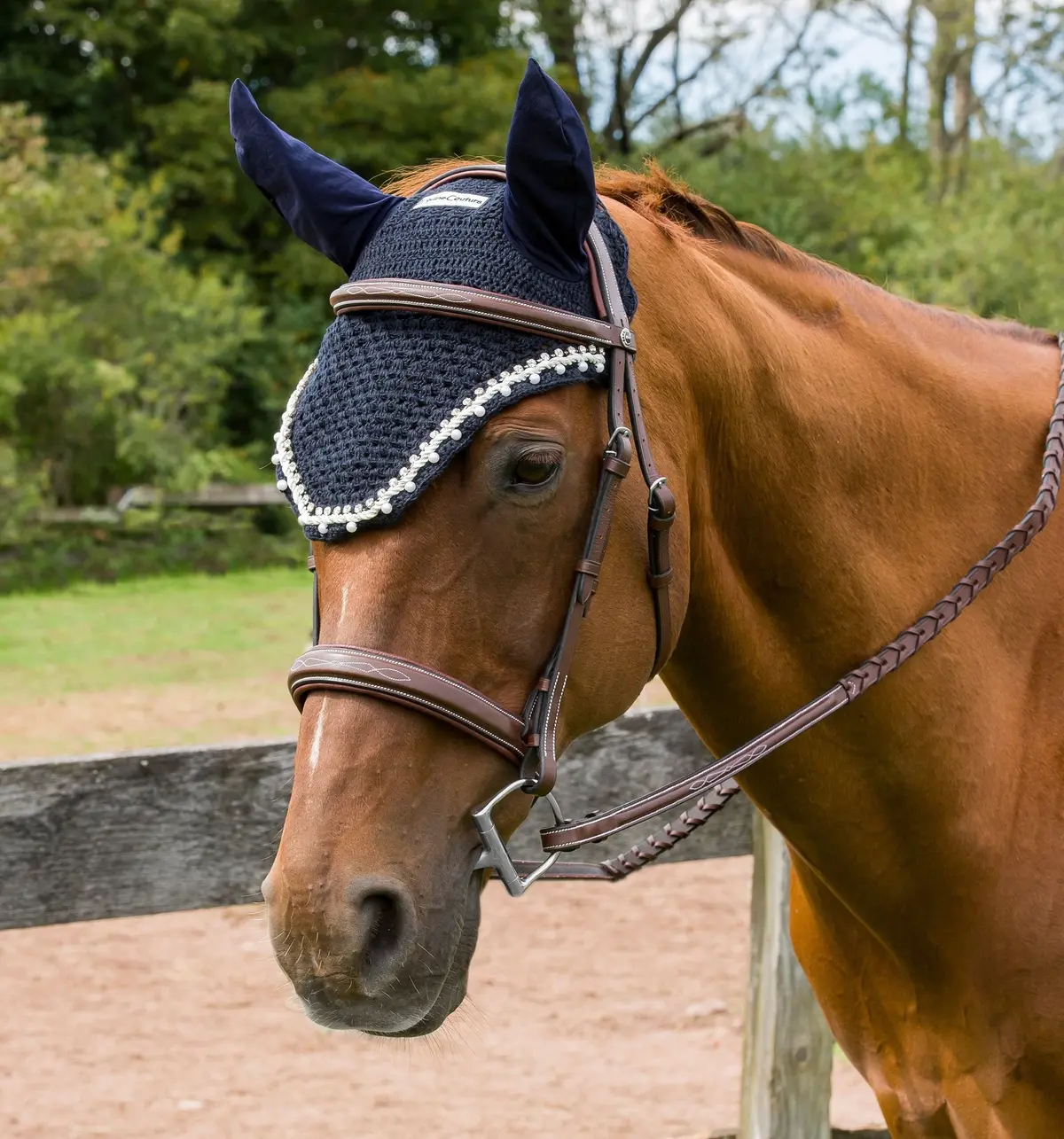 Equine Couture Fly Bonnet With Pearls And Crystals 2