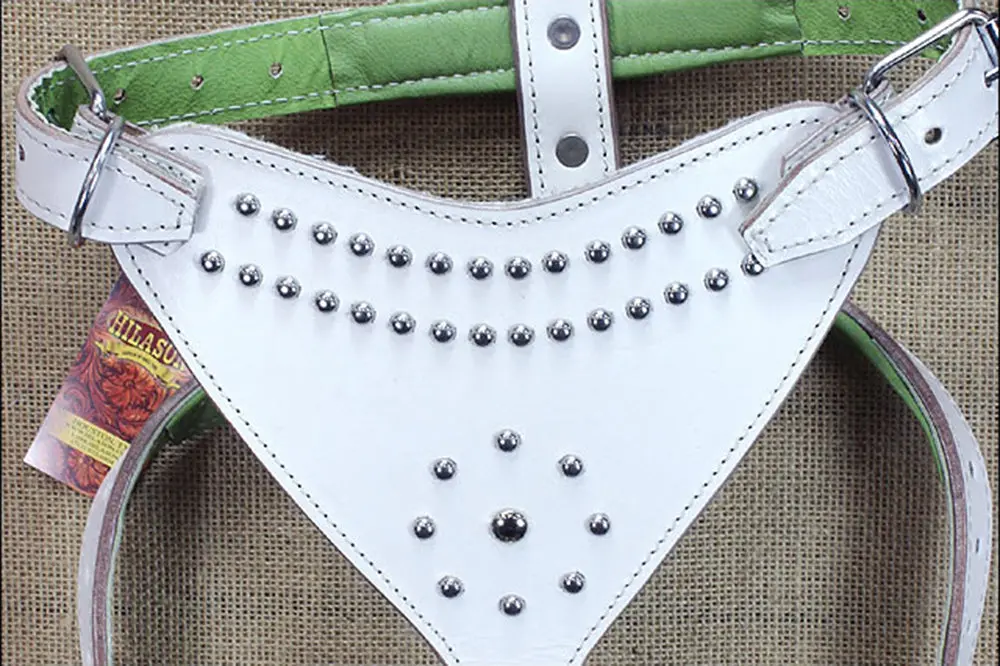 Large Leather Dog Harness Padded Genuine White Hilason 2