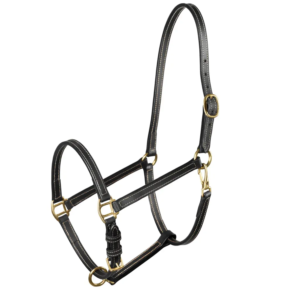 Horze Fremont Leather Horse Halter Black 1