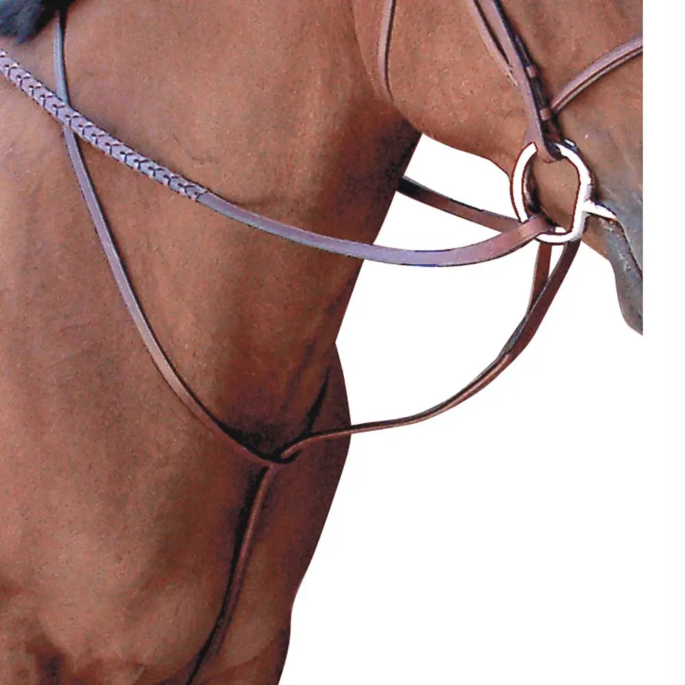 Full Passport Horse Noseband Square Raised Standing Martingale Mahogany 1