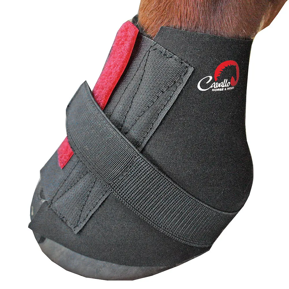 Medium Toklat Horse Leg Boot Wraps Cavallo Pastern Black 1