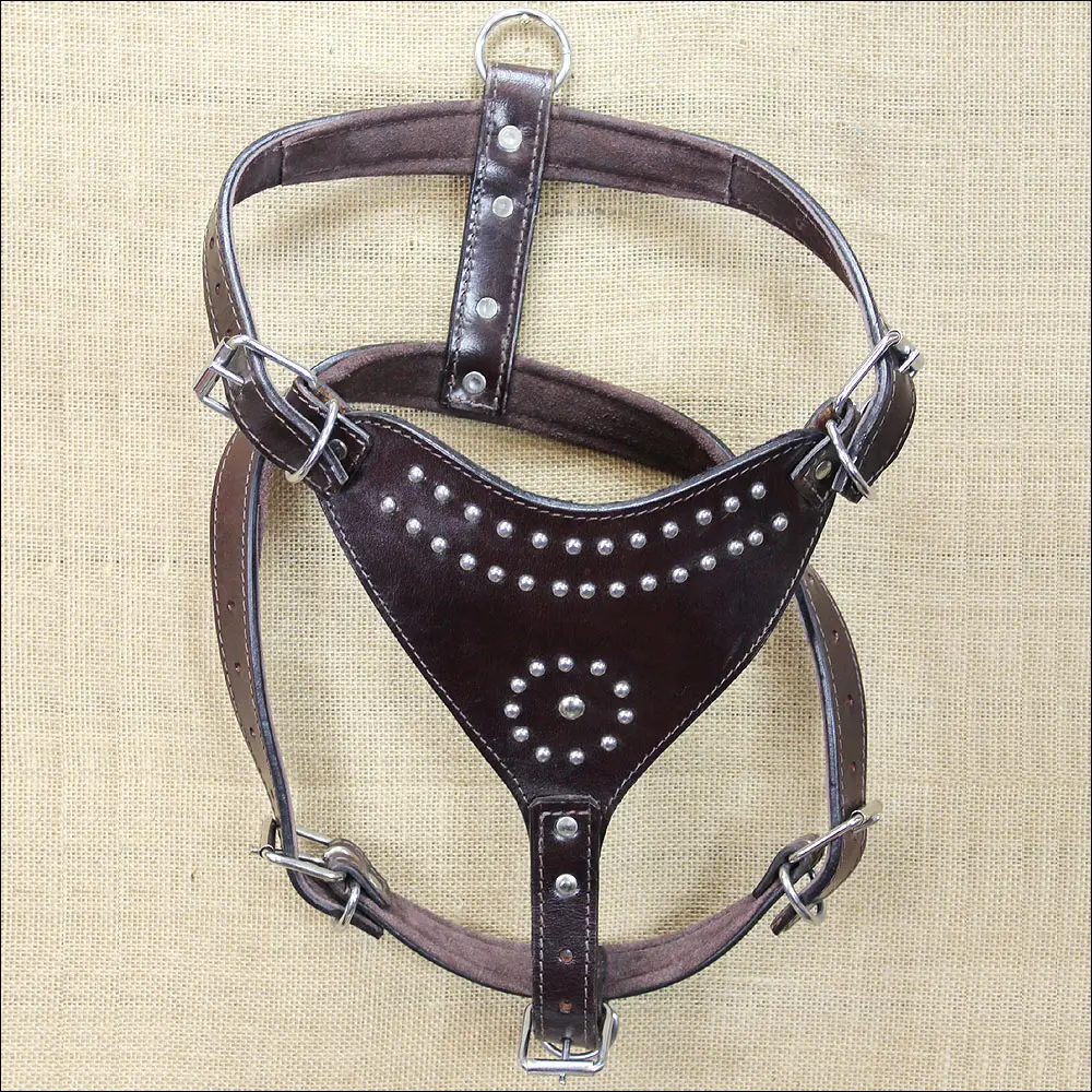 Large Leather Dog Harness New Padded Genuine With Matching Leash Hilason 1