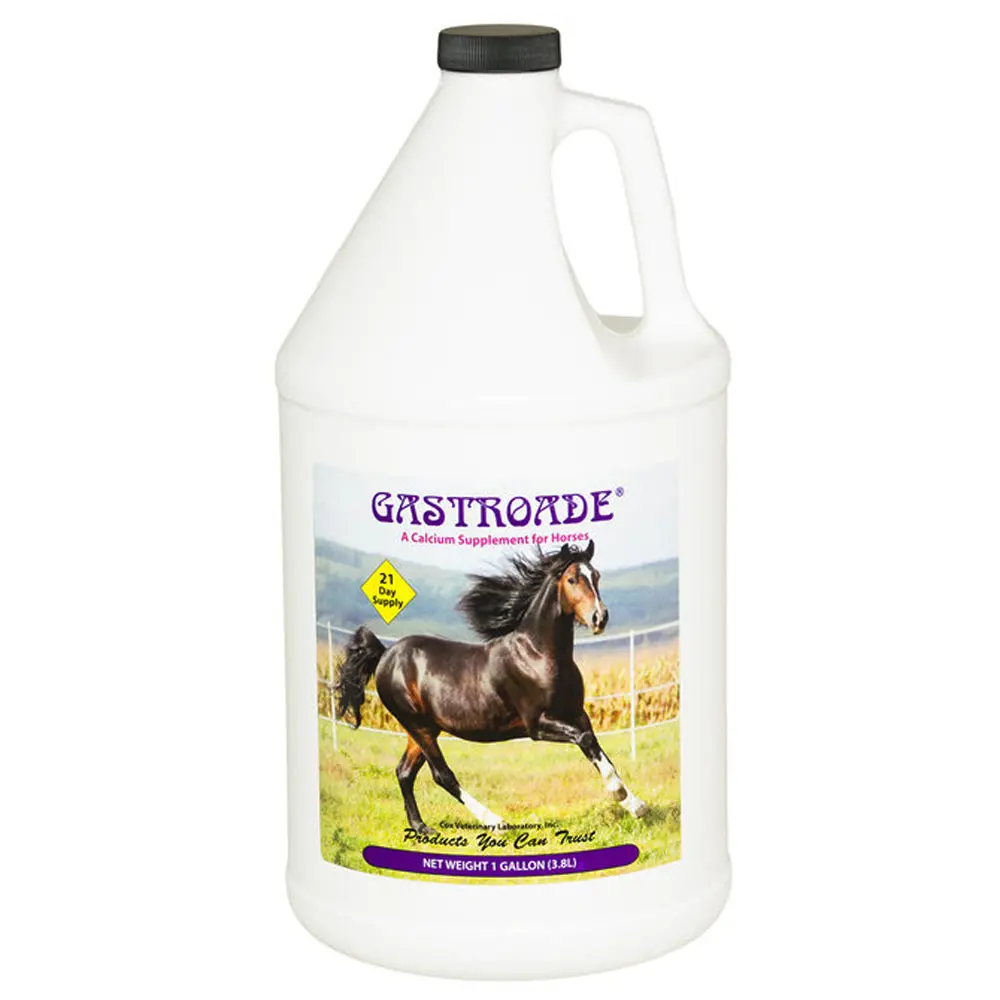 1 Gallon Gastroade Calcium Horse Supplement 1