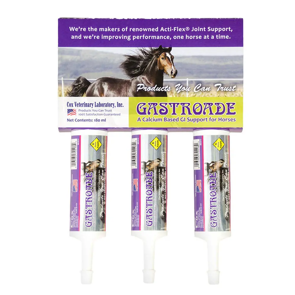 Gastroade Paste 60 Ml X 3 ~ 1