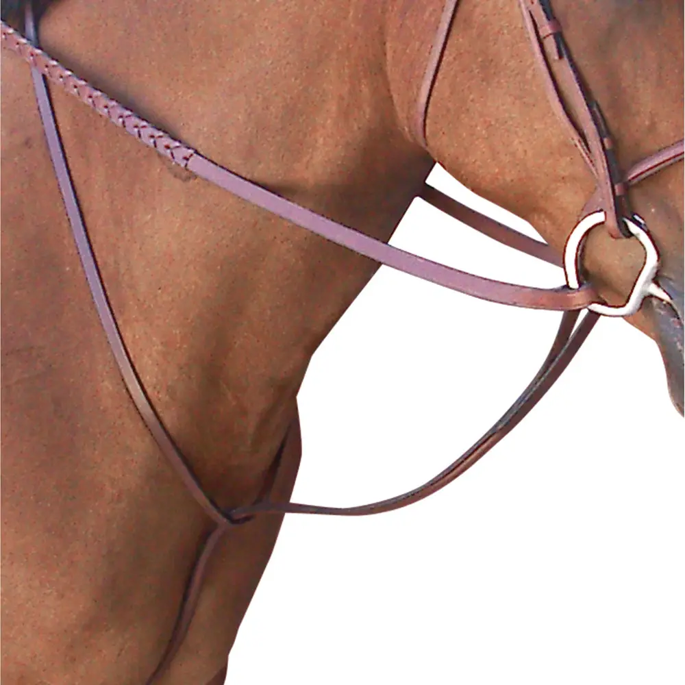 Passport Plain Raised Standing Martingale Full 1
