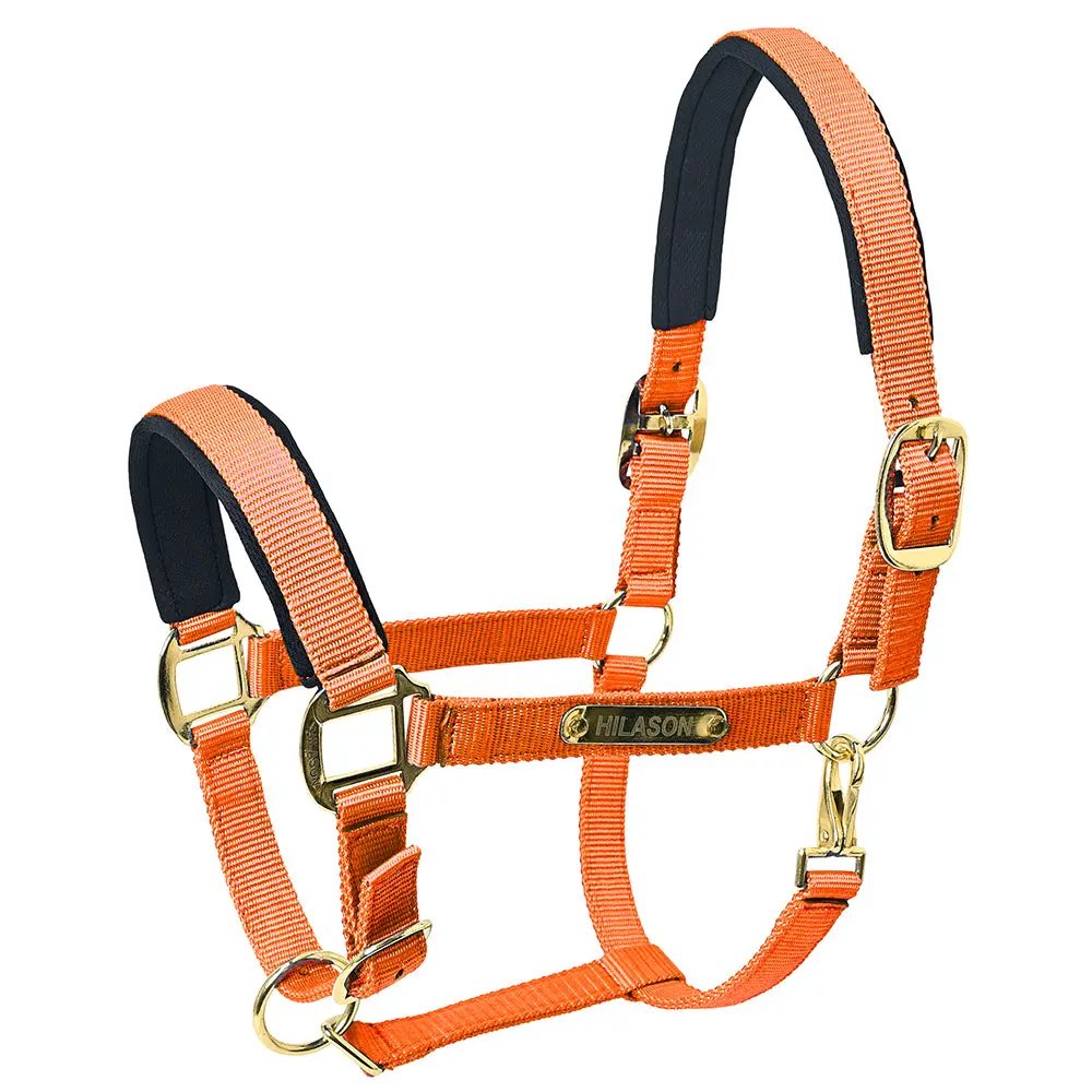 Hilason Western Safety Horse Halter Comfortable And Flexible | Nylon Halters Adjustable Cute 1