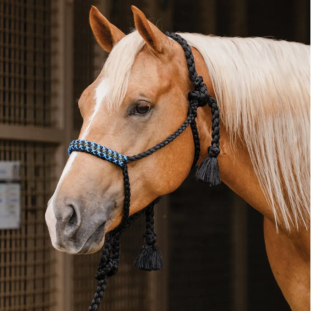 Professional's Choice Horse Cowboy Braided Woven Halter 1