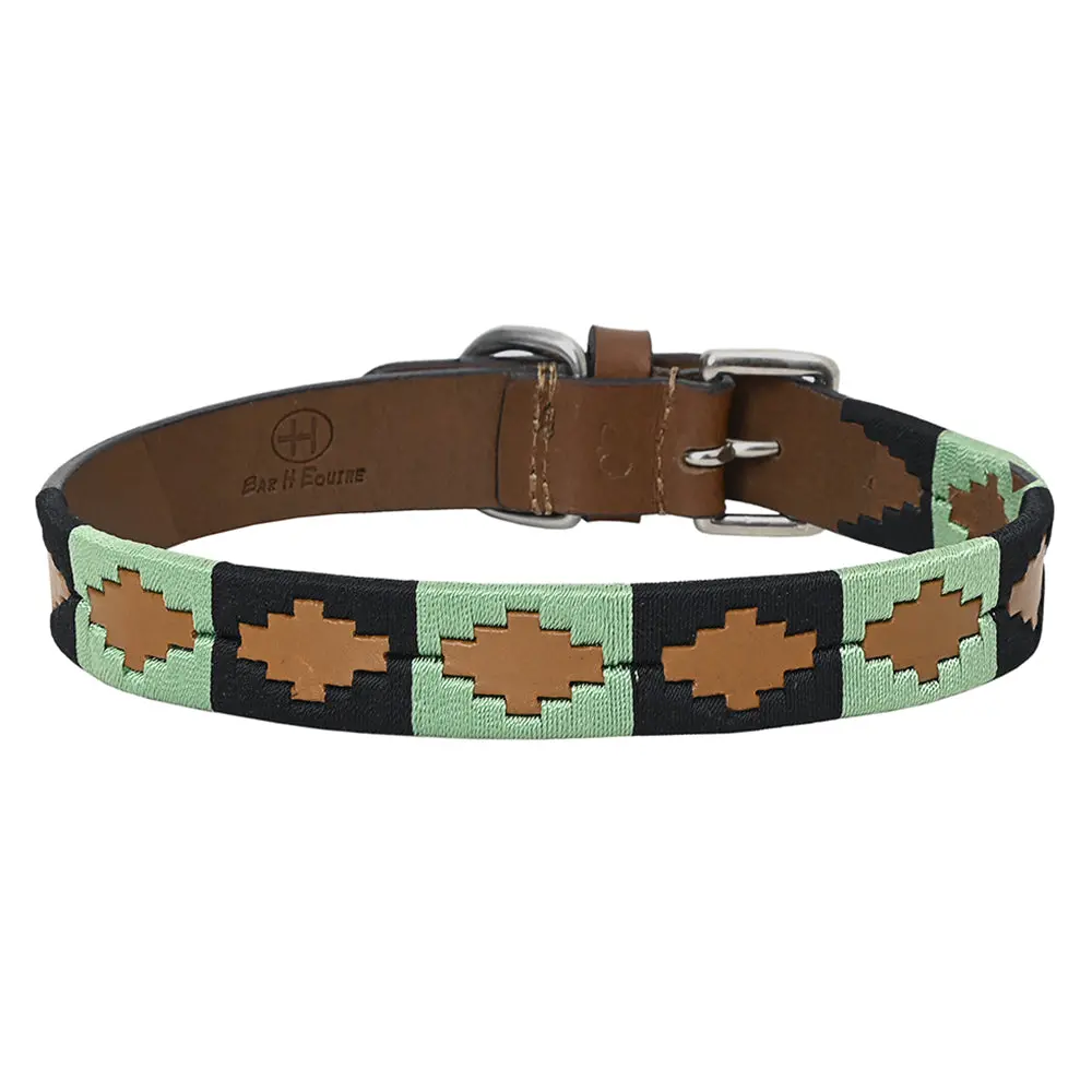 Bar H Equine Western Genuine Leather Dog Collar Embroidered Black & Light Green 1