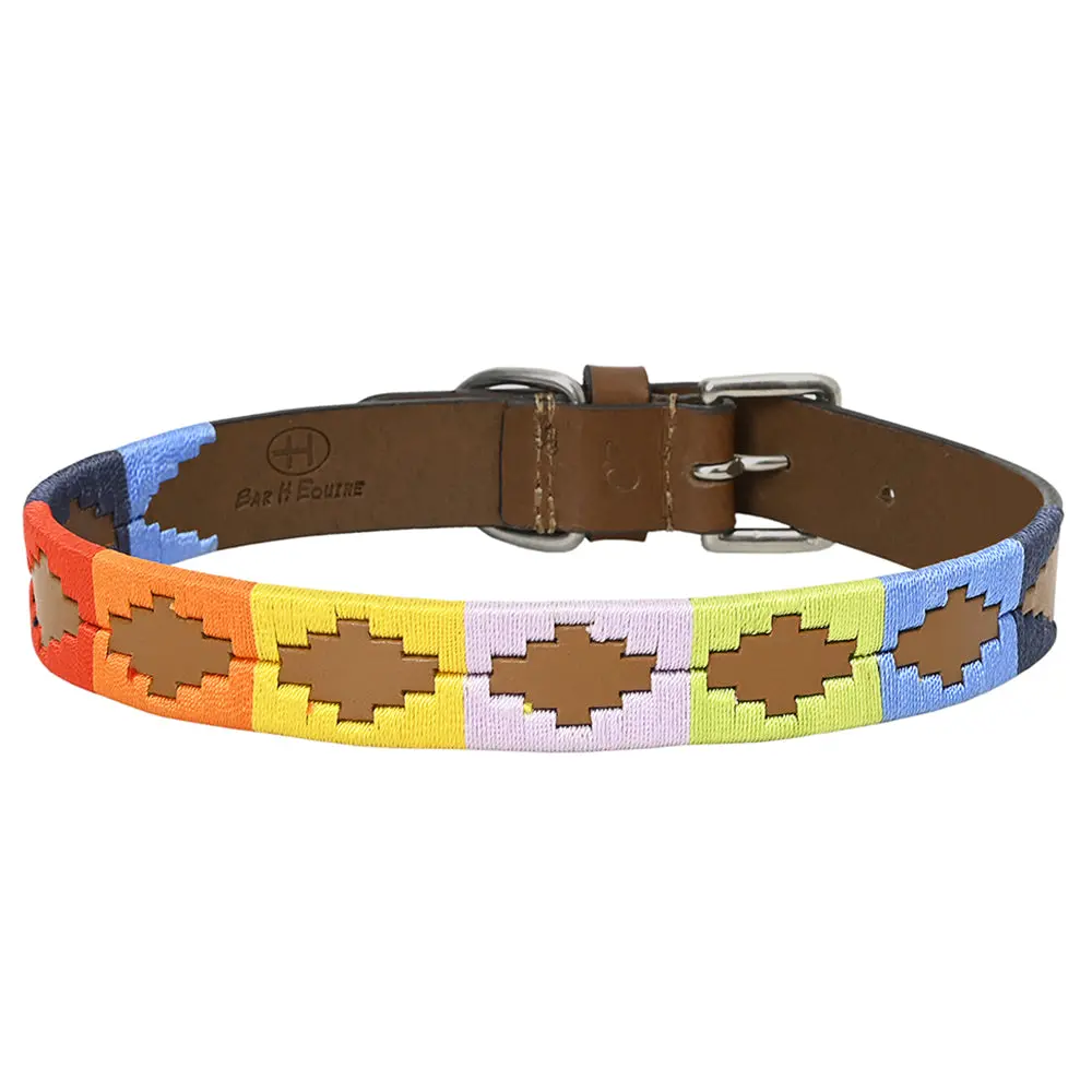 Bar H Equine Western Genuine Leather Dog Collar Embroidered 1