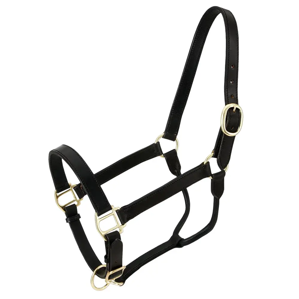Royal King Western Horse Stable Genuine Leather Halter & 1 Inch Width Black 1