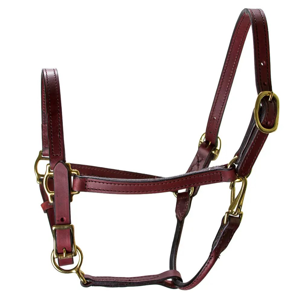 Hilason Western Horse Comfortable & Flexible Halter 3/4 In Width Genuine Leather 1