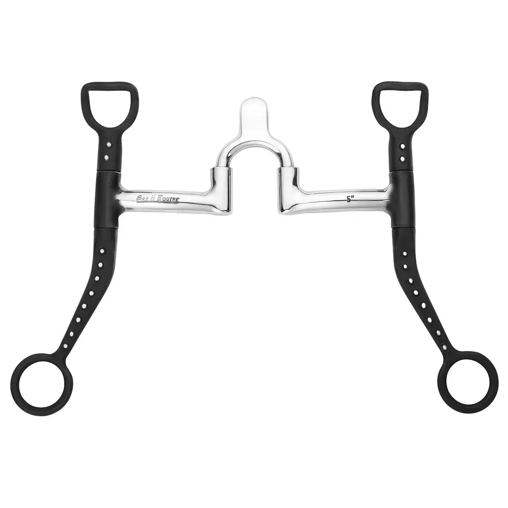 Bar H Equine Western Curb Bit With Silver Dotted Shanks & Cathedral Port 1