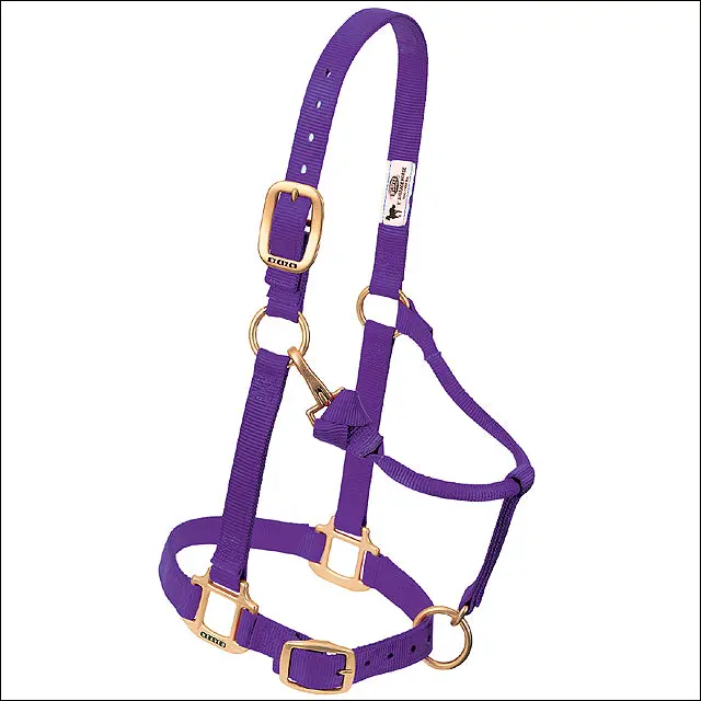 Large Weaver Horse Halter Nylon Heat Sealed Buckle Chin Throat Purple 1
