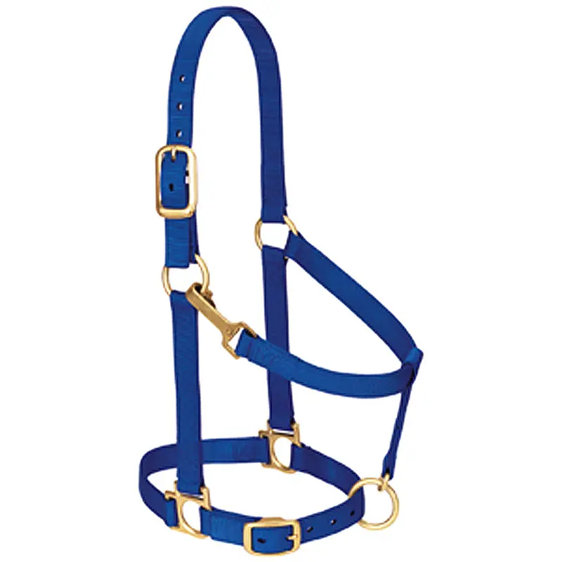 Blue Nylon Basic Adjustable Chin And Throat Snap Horse Halter By Weaver Lether 1