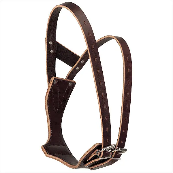 Weaver Leather Miracle Horse Breast Collar With Non Rust Stainless Steel Havana 1