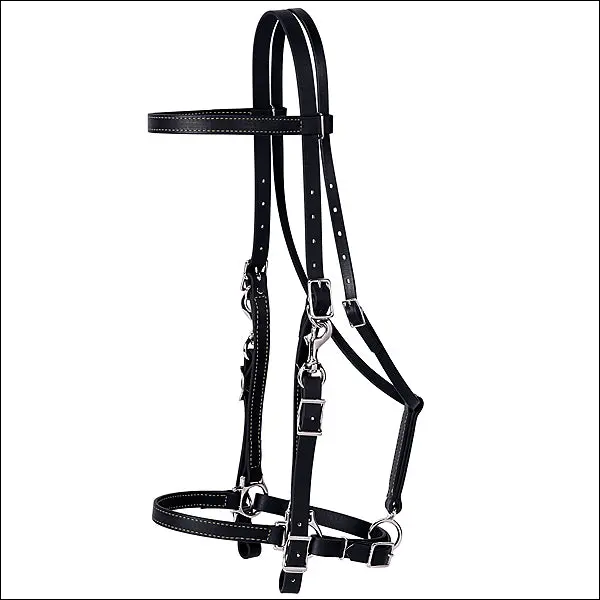 Black Western Tack Brahma Webb Horse Halter Bridle By Weaver Leather 1