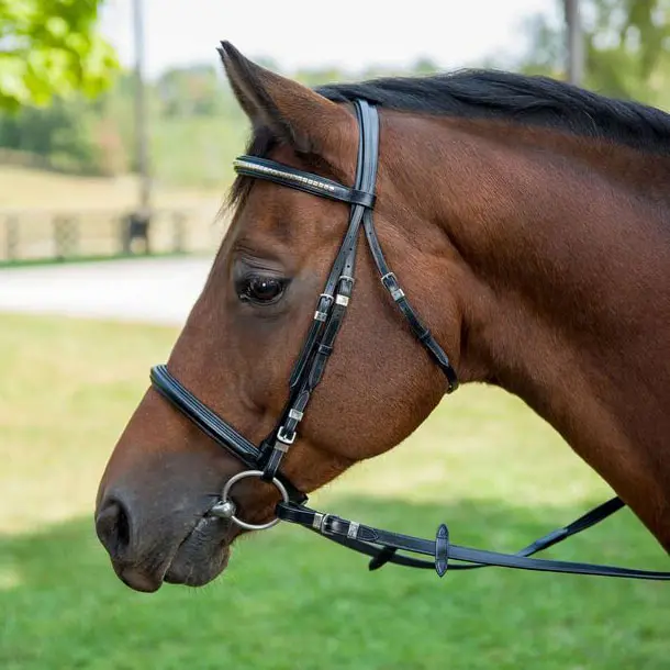 Henri De Rivel Clincher Bridle 1