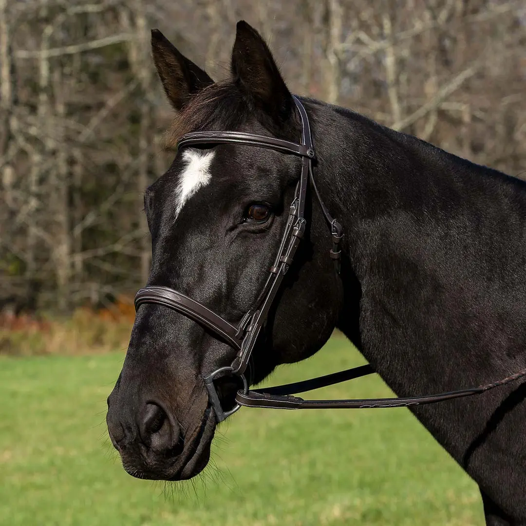 Henri De Rivel Pro Mono Crown Bridle With Padded Wide Noseband With Laced Reins 1