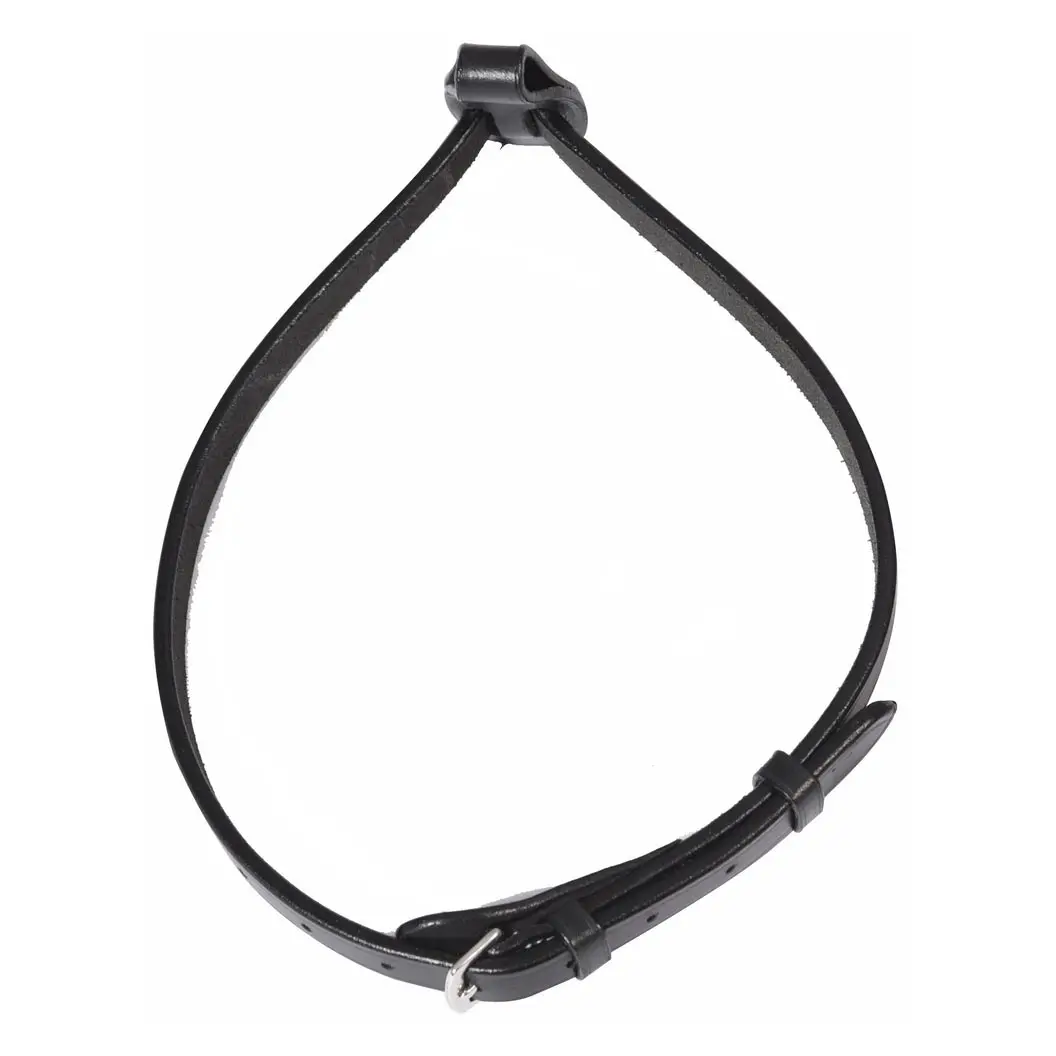 Henri De Rivel Pro Flash Noseband With Converter 1