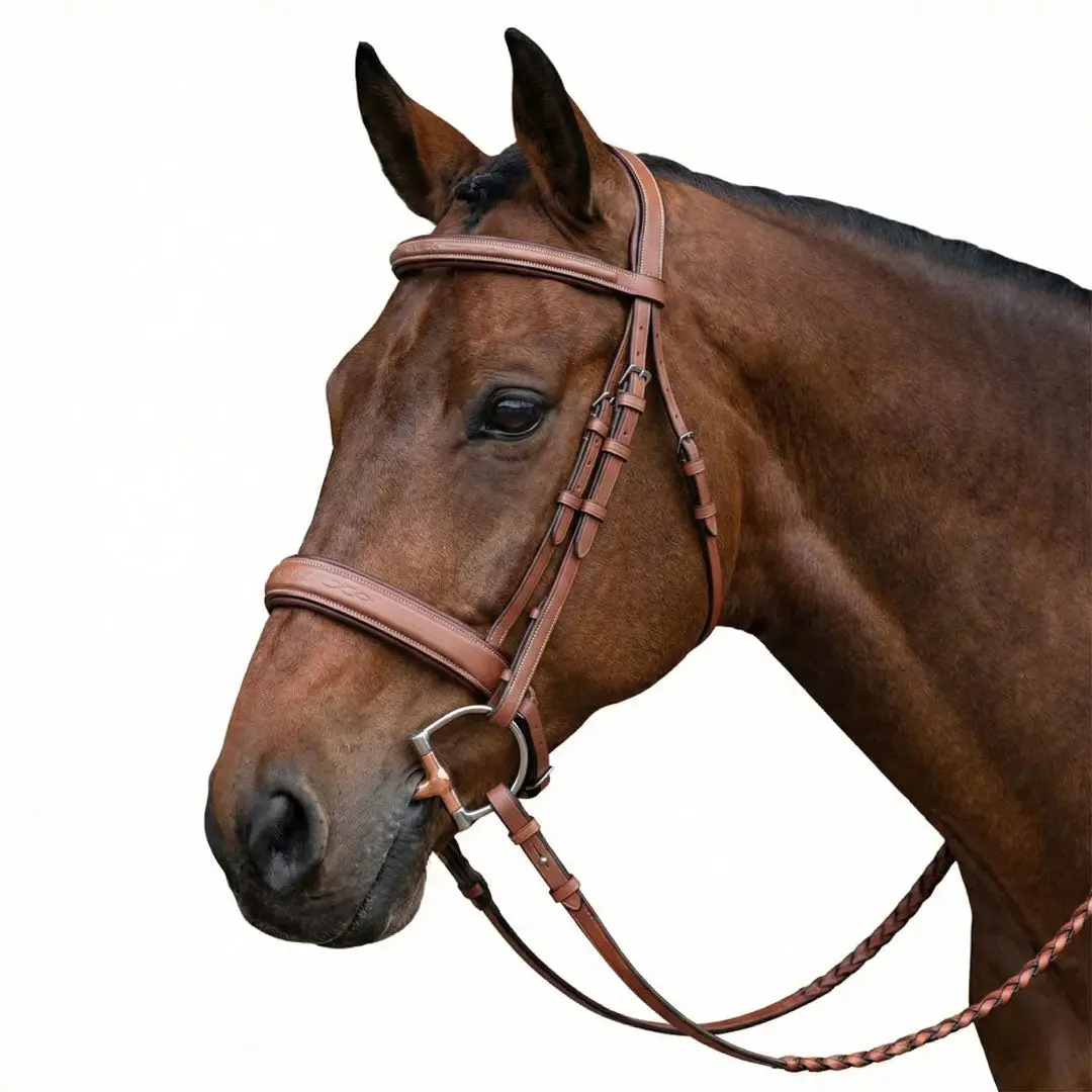 Laureate By Henri De Rivel Fancy Stitched Bridle W/ Wide Caveson And Laced Reins 1