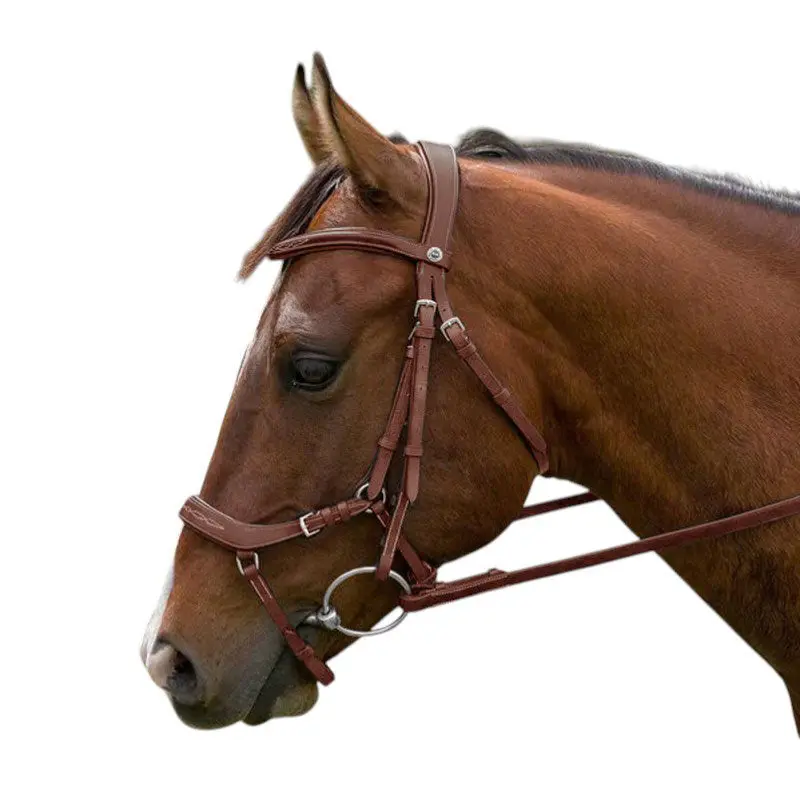 Laureate By Henri De Rivel Anatomical Bridle W/ Rubber Reins 1