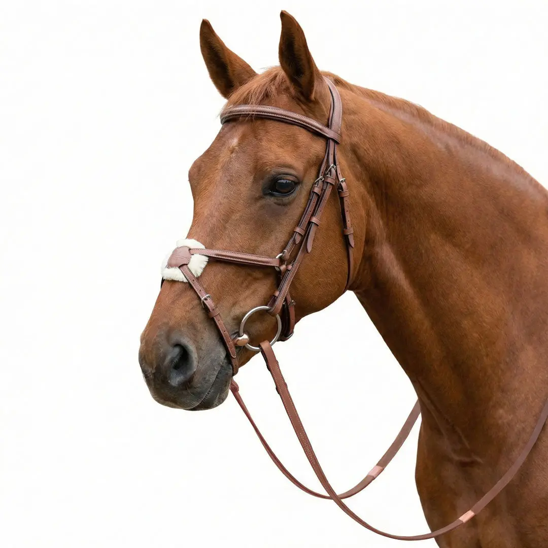 Laureate By Henri De Rivel Figure 8 Bridle W/ Rubber Reins 1