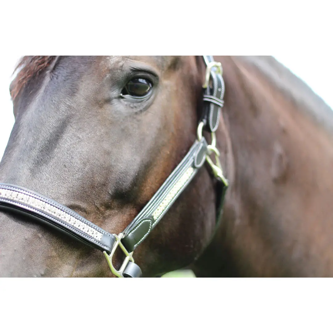 Henri De Rivel Padded Jewel Halter 6