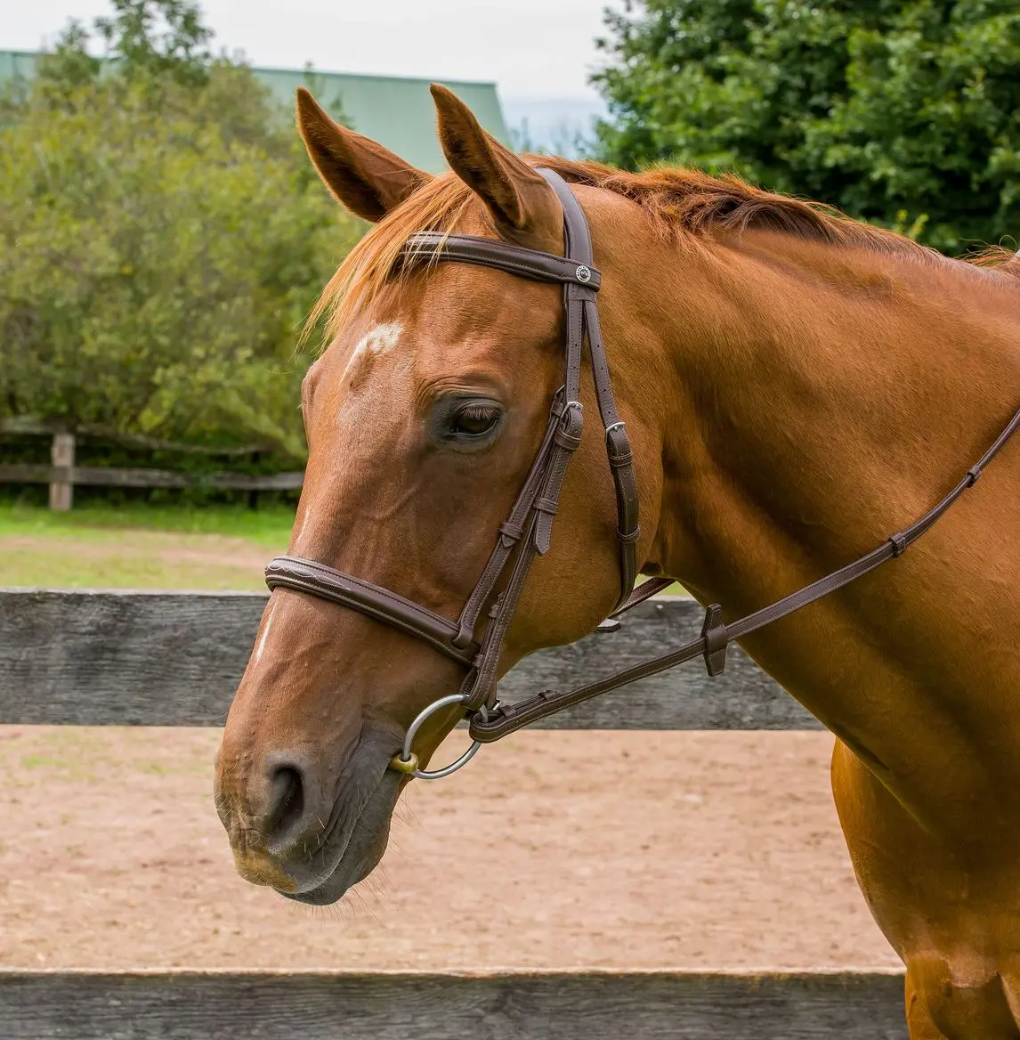Henri De Rivel Kushy Raised Fancy Stitched Bridle 1