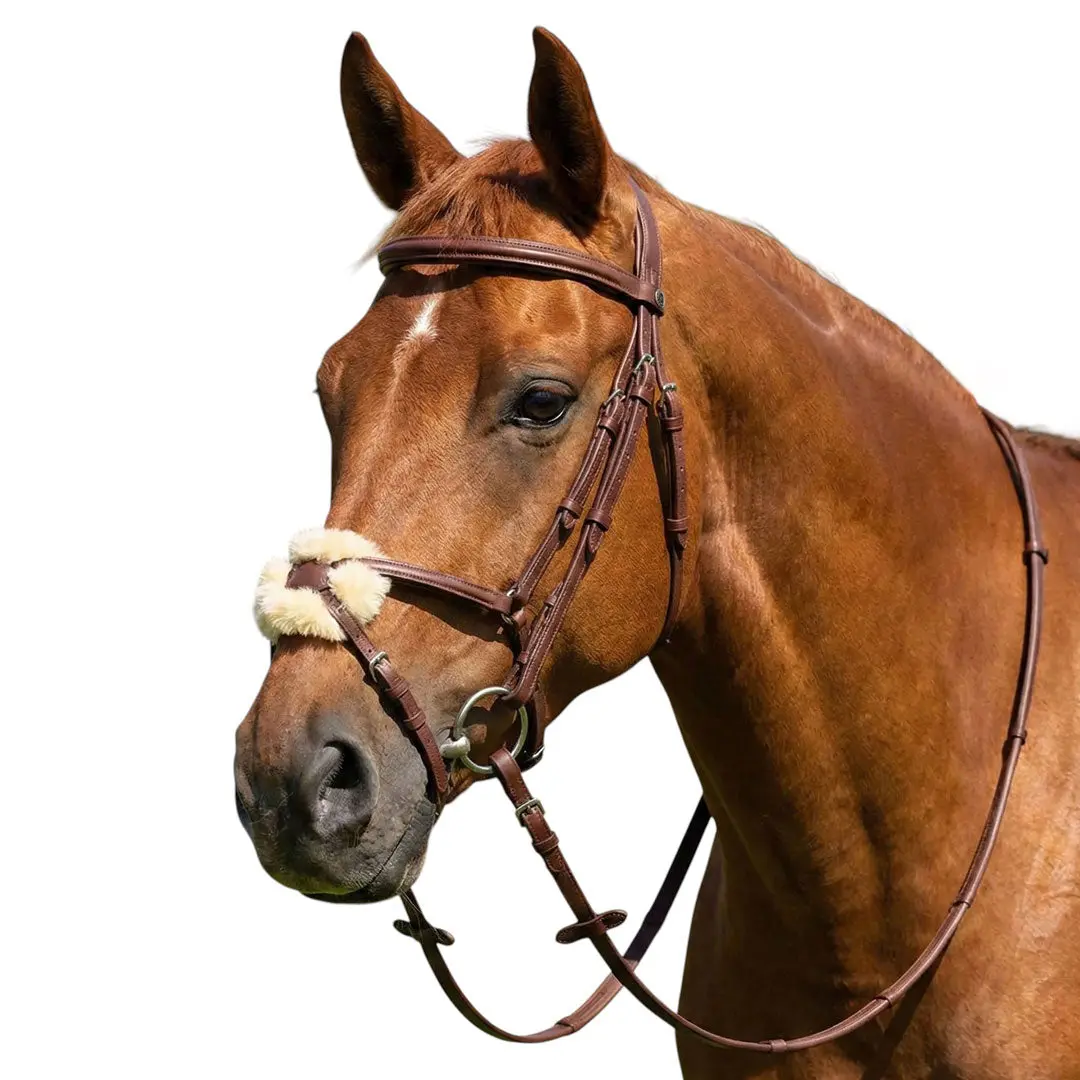 Henri De Rivel Kushy Plain Raised Figure Eight Noseband Bridle 4