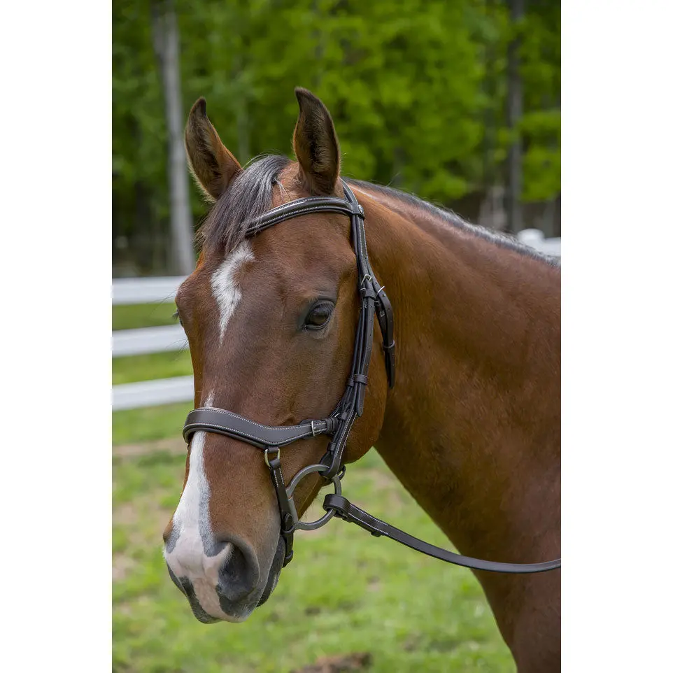 Henri De Rivel Pro Anatomical Bridle 4