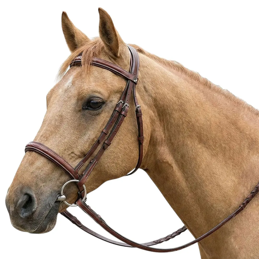 Henri De Rivel Pro Fancy Raised Comfort Crown Padded Bridle With Fancy Raised Reins 1