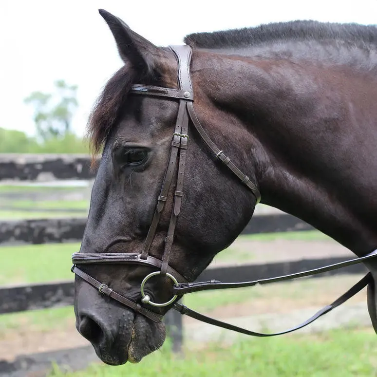 Henri De Rivel Pro Piaffe Mono Crown Bridle With Flash Noseband With Patent Leather 4