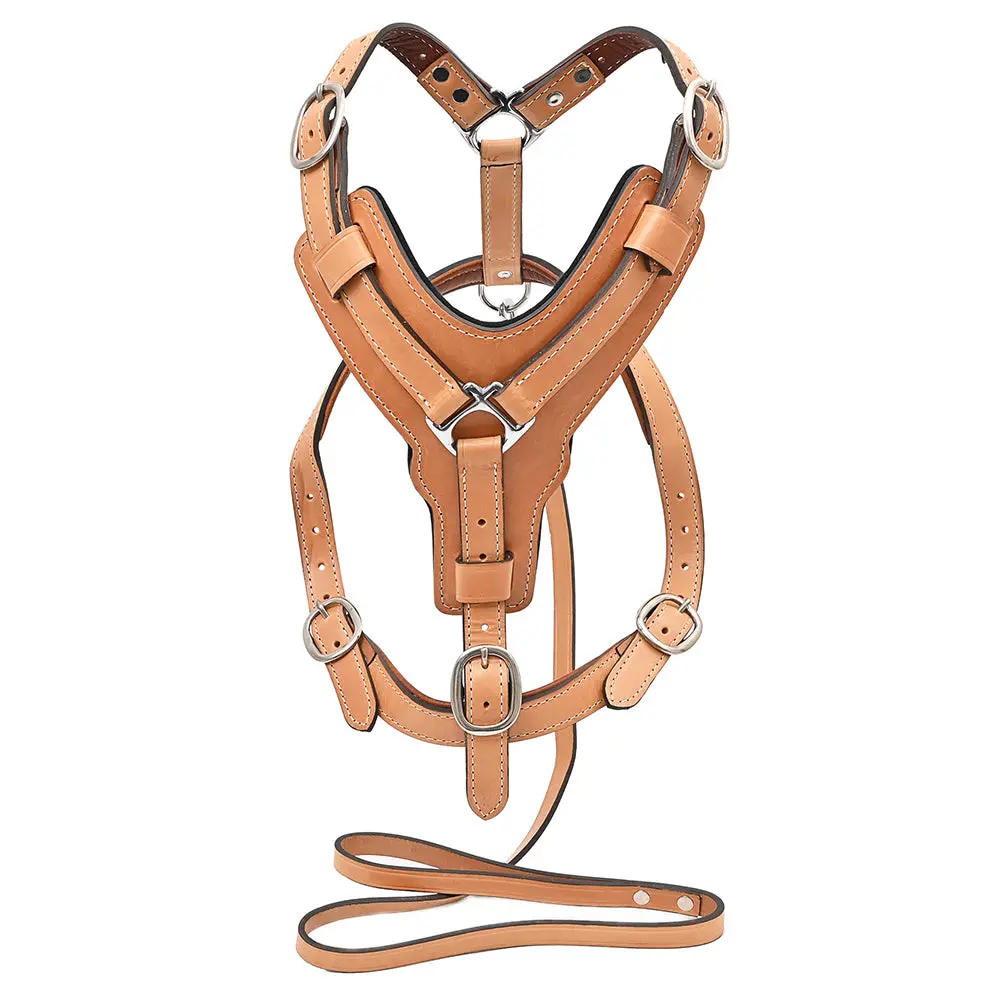 Large Leather Dog Harness Tan Padded Genuine With Matching Leash Hilason 1