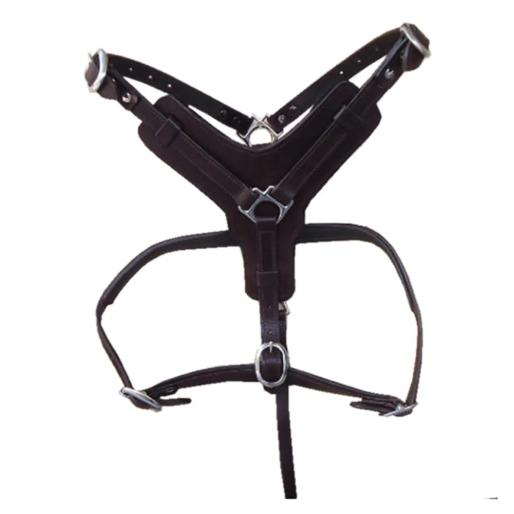 Sml Hilason Western Padded Dog Harness Genuine Leather Stainless Steel Black 1