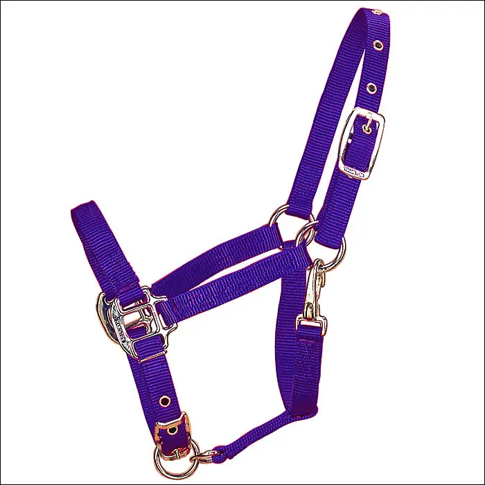 3/4 Inch Weanling Horse Adjustable Chin Halter Snap By Hamilton Products Us 1