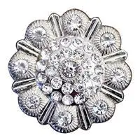 Western Screw Back Concho Clear Berry Saddle Headstall Tack Bling Cowgirl 1
