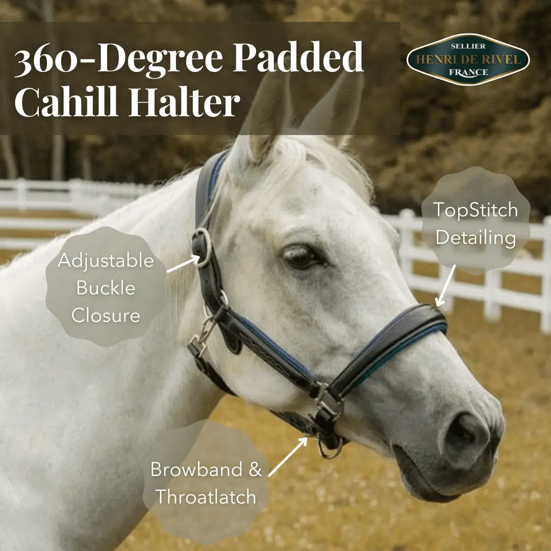 Henri De Rivel 360-Degree Padded Cahill Halter 3