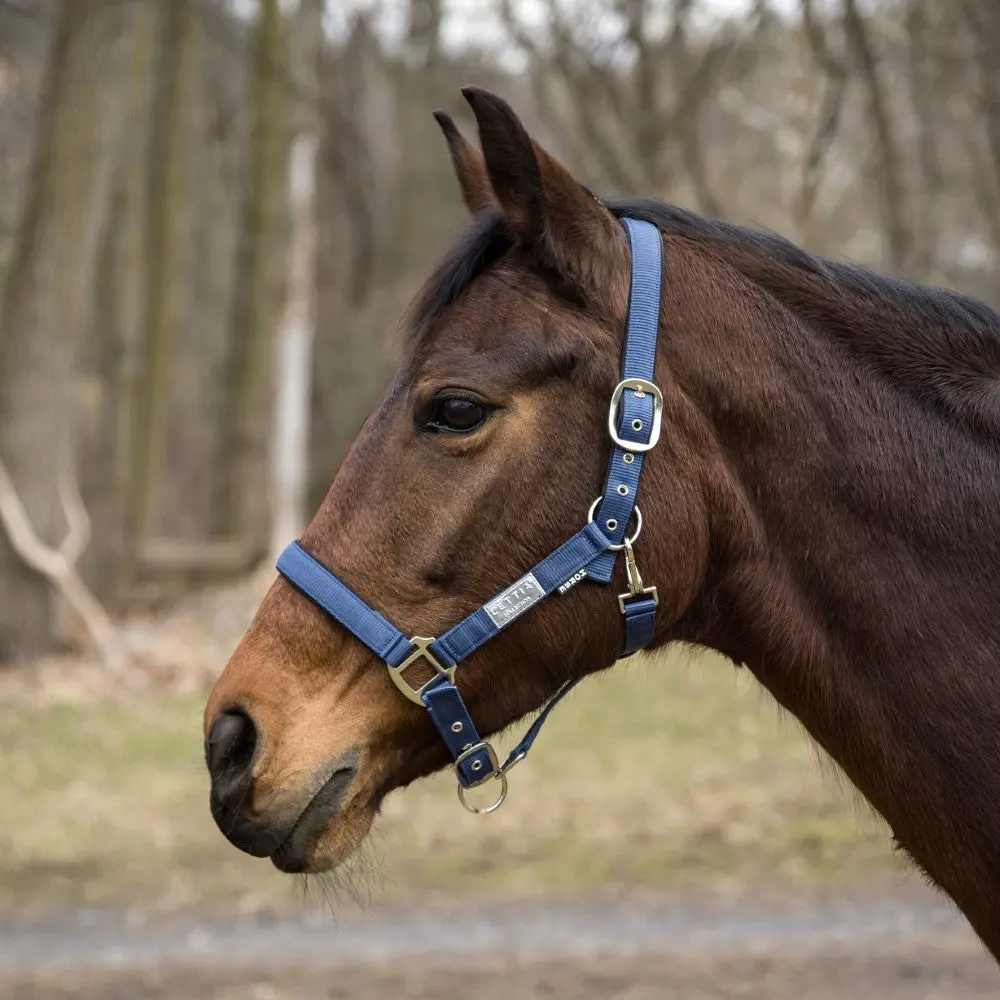 Lettia Equifine Adjustable Nylon Halter – Lightweight, Comfort-Fit Horse Halter