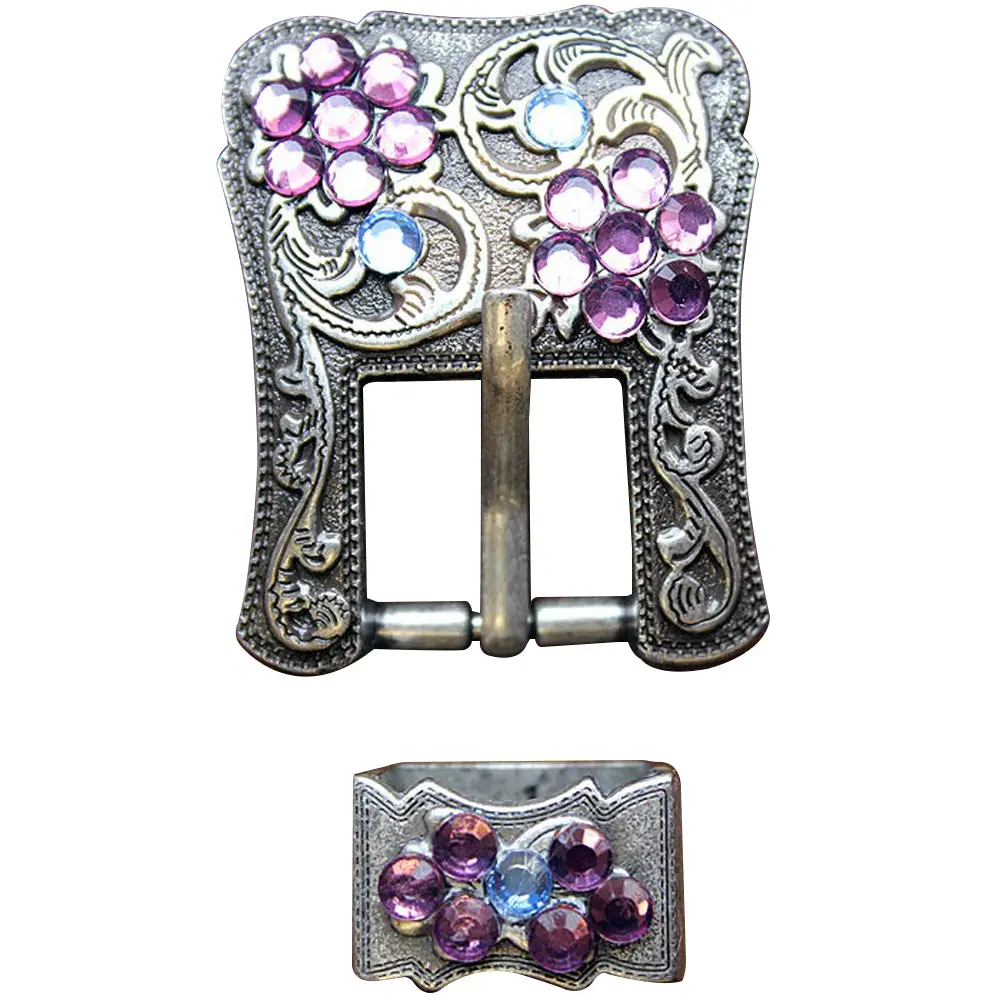 Western Screw Back Concho Purple Blue Crystals Silver Buckle Set Belt 1