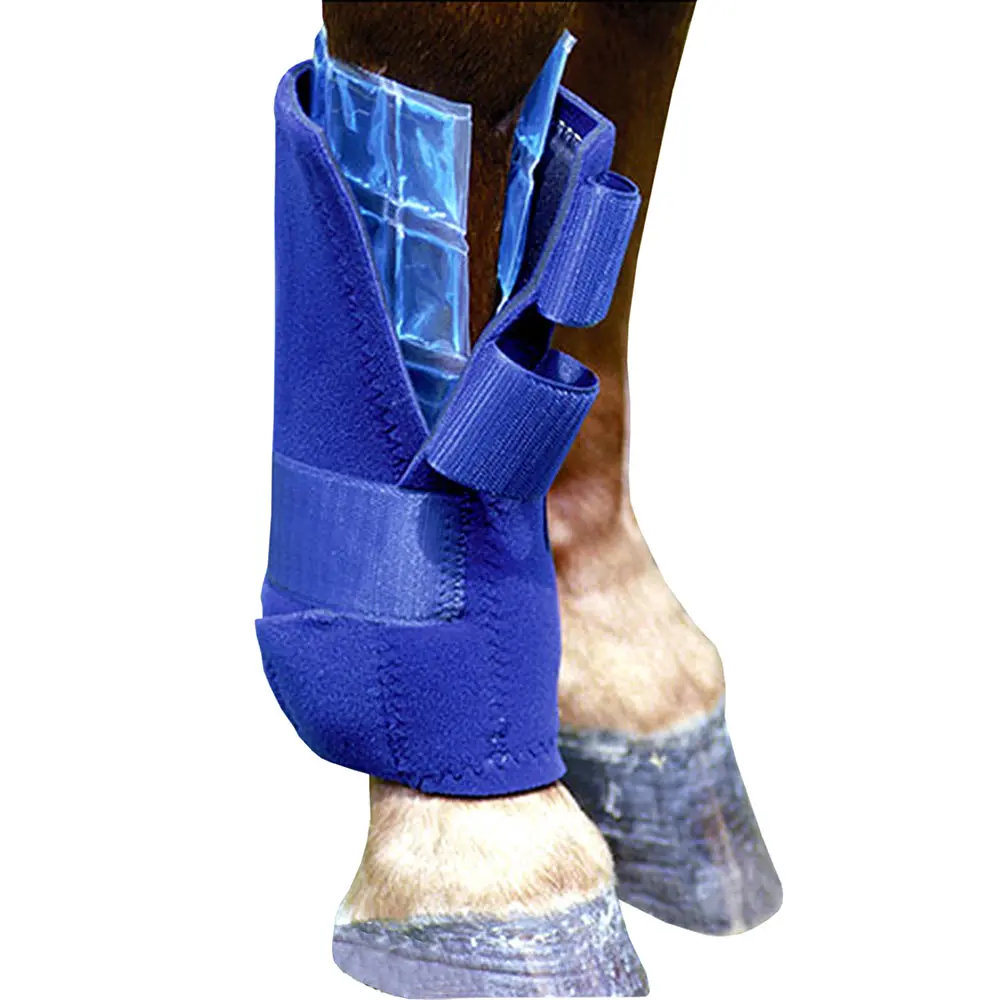 Professional Choice Horse Leg Non Toxic Flexible Ice Cells Cold Therapy Pair 1
